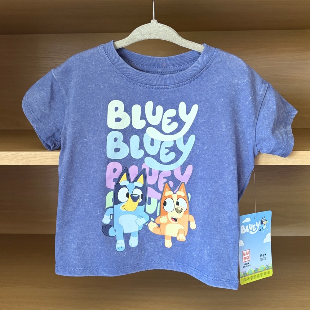 NWT•Bluey & Bingo Toddler Short Sleeve Tee | Gray Blue |  18m
